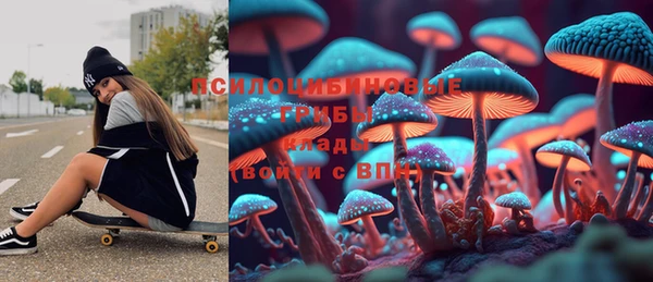 гашик Белоозёрский