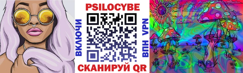 Галлюциногенные грибы GOLDEN TEACHER  Купить где  Ардон 